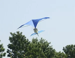 2010-2013 activities